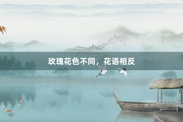 玫瑰花色不同，花语相反